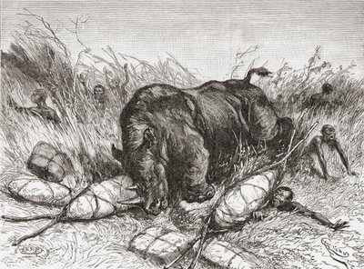 A rhinoceros attacks an expedition, from 